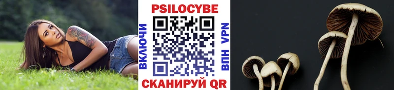 Галлюциногенные грибы Magic Shrooms Березники