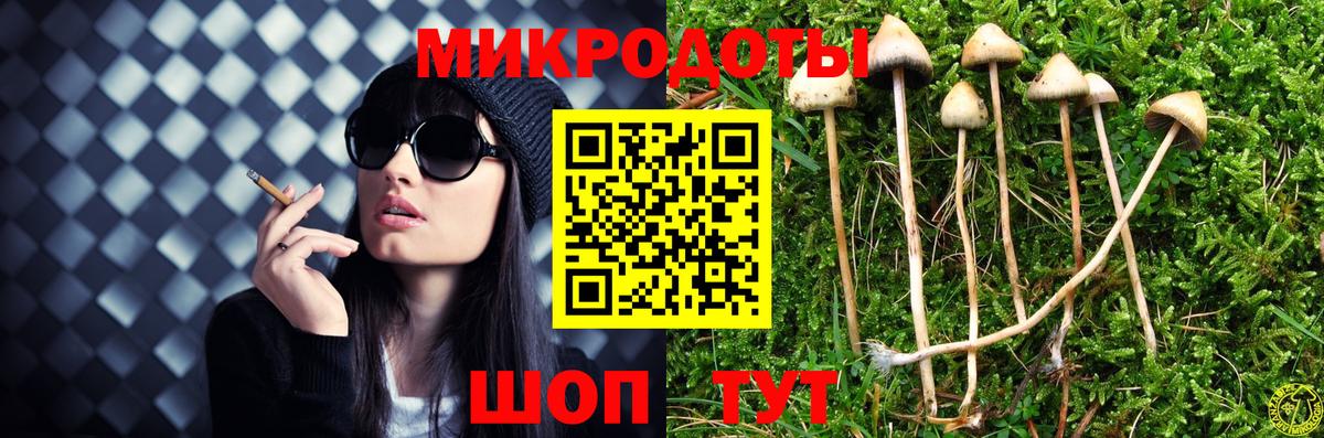 Псилоцибиновые грибы GOLDEN TEACHER Березники